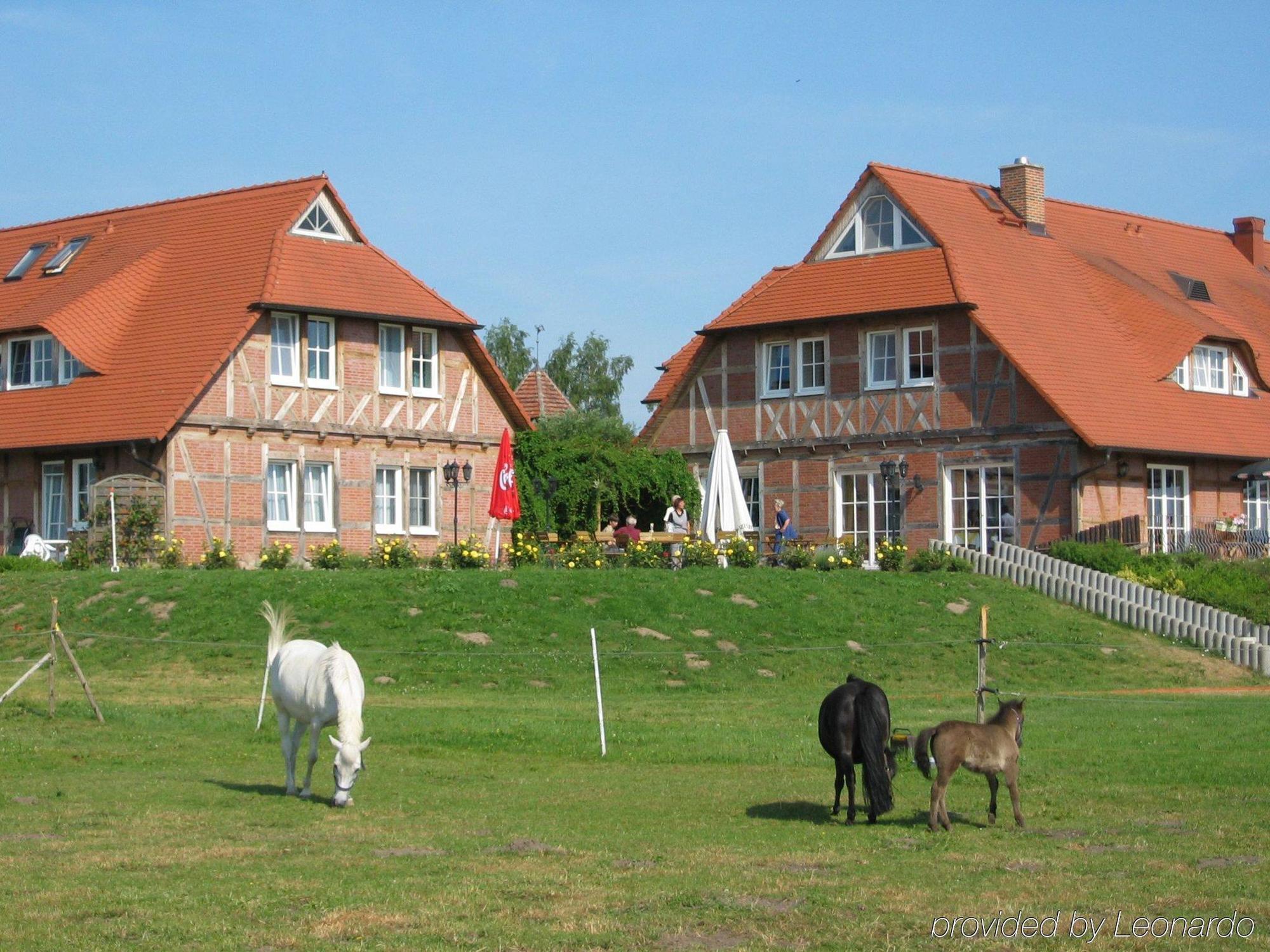 Flair Seehotel Zielow Ludorf Exteriör bild